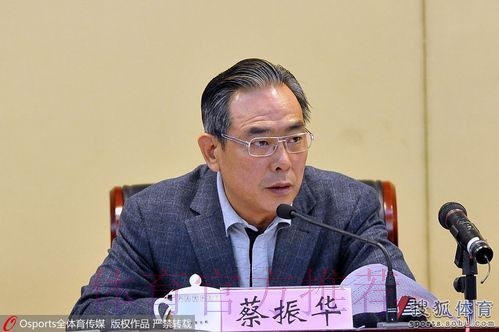 蔡振华：足改方案是中国足球福音 足球人要破釜沉舟